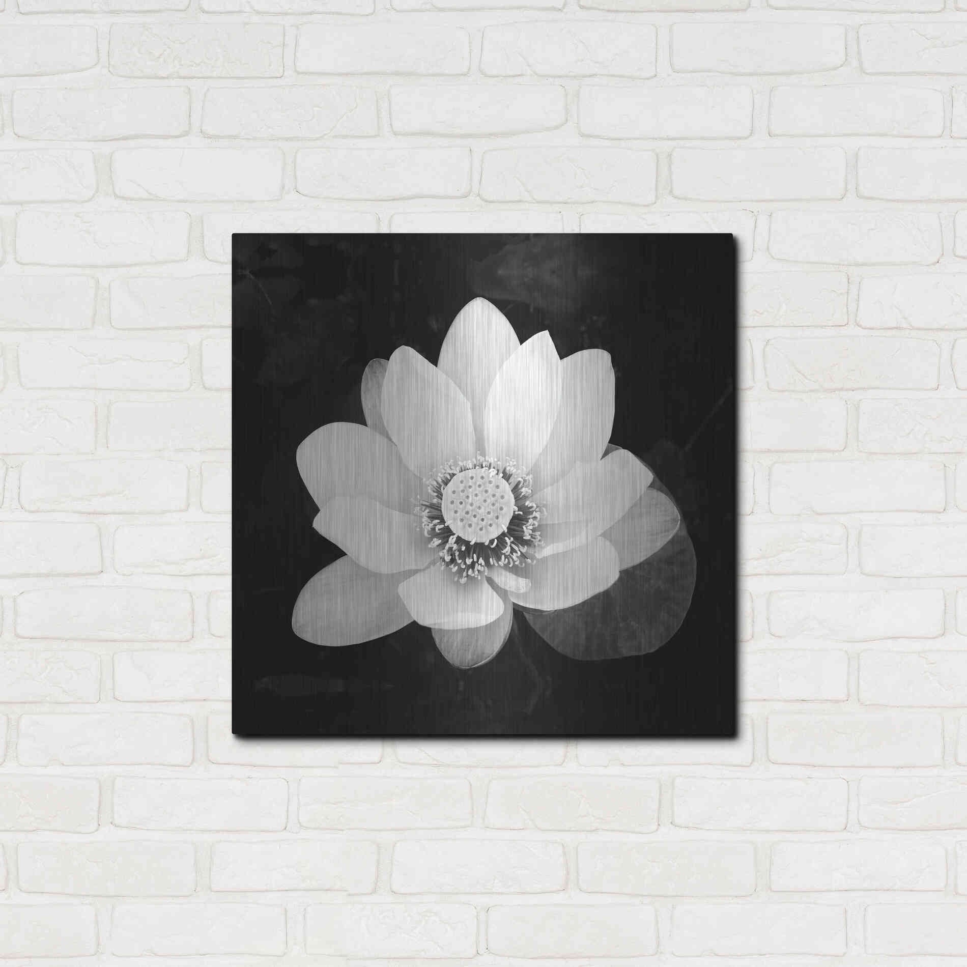 Luxe Metal Art 'Lotus Flower II' by Debra Van Swearingen, Metal Wall Art,24x24