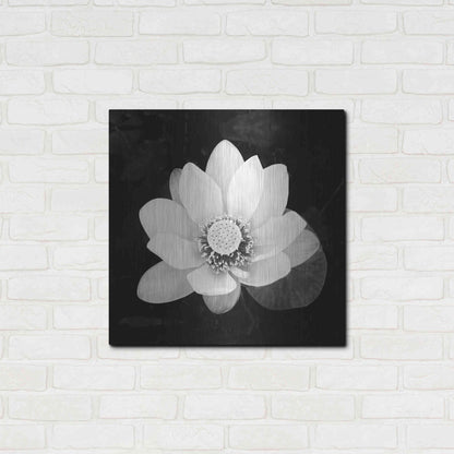 Luxe Metal Art 'Lotus Flower II' by Debra Van Swearingen, Metal Wall Art,24x24