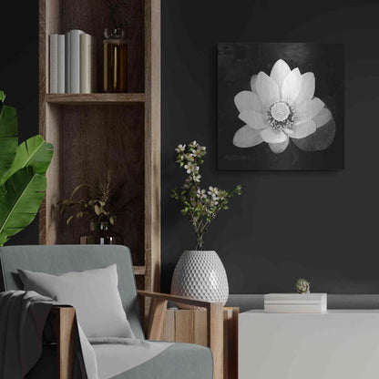 Luxe Metal Art 'Lotus Flower II' by Debra Van Swearingen, Metal Wall Art,24x24