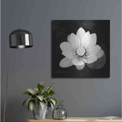 Luxe Metal Art 'Lotus Flower II' by Debra Van Swearingen, Metal Wall Art,24x24