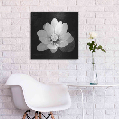 Luxe Metal Art 'Lotus Flower II' by Debra Van Swearingen, Metal Wall Art,24x24