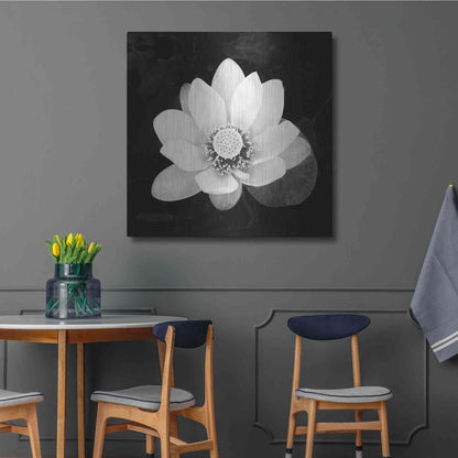 Luxe Metal Art 'Lotus Flower II' by Debra Van Swearingen, Metal Wall Art,36x36