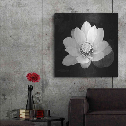 Luxe Metal Art 'Lotus Flower II' by Debra Van Swearingen, Metal Wall Art,36x36