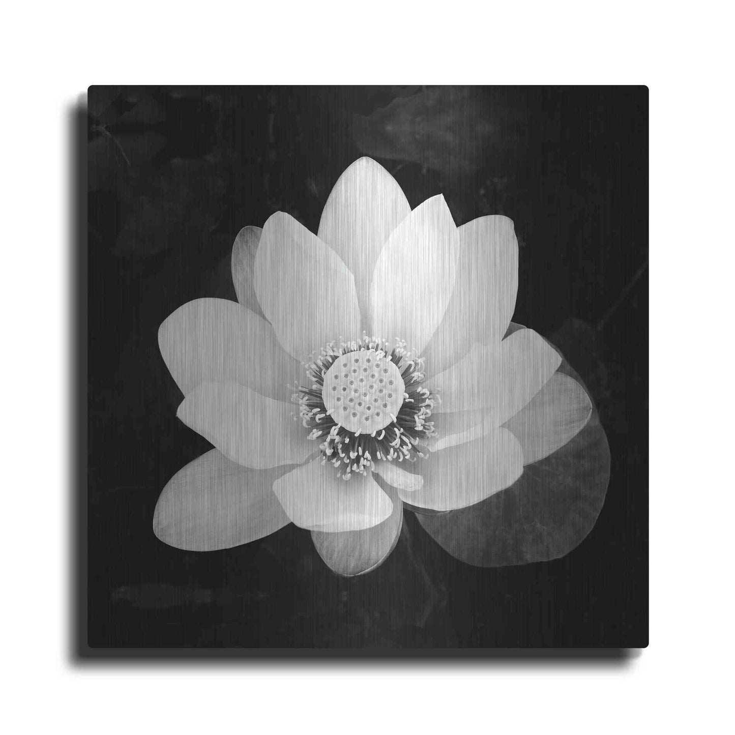 Luxe Metal Art 'Lotus Flower II' by Debra Van Swearingen, Metal Wall Art