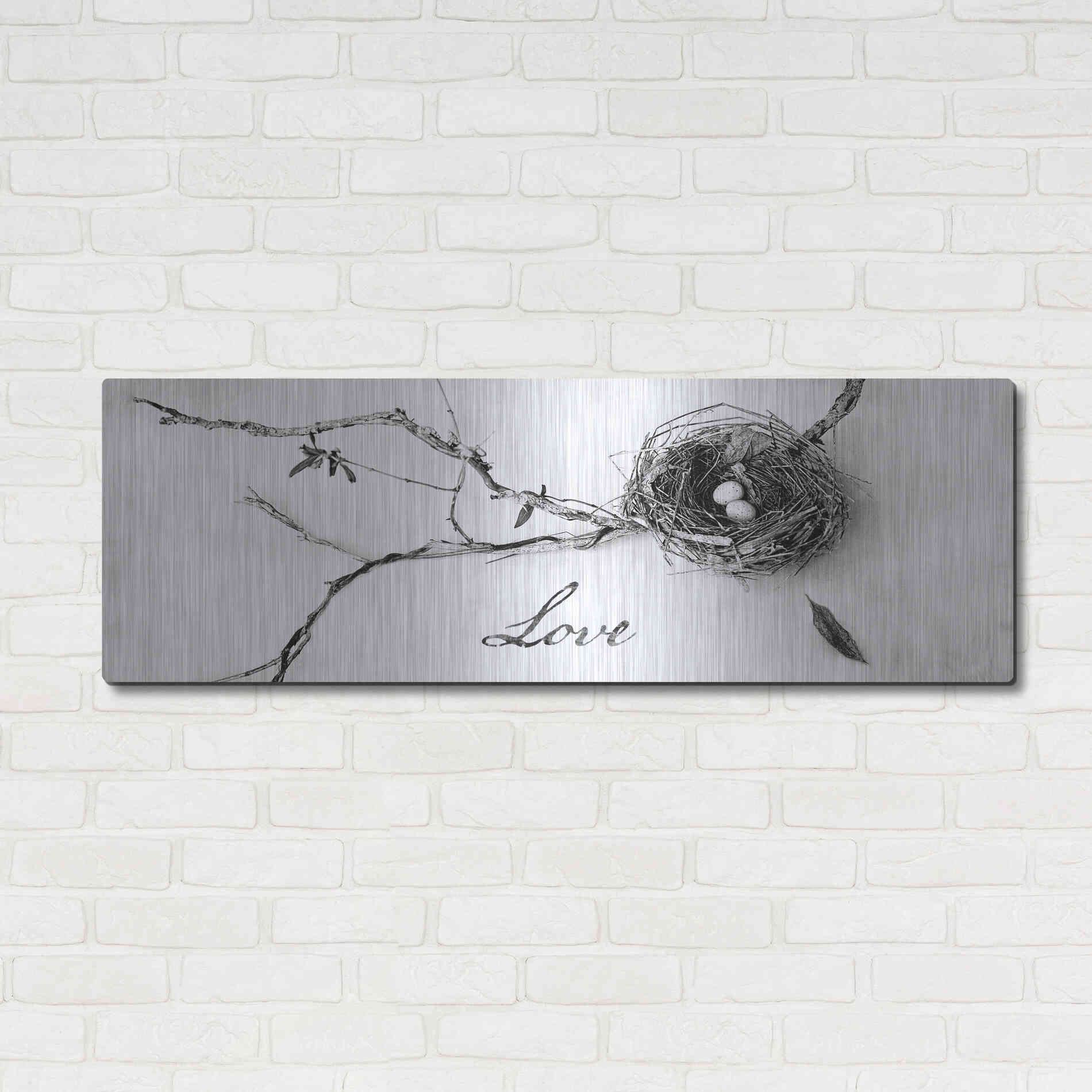Luxe Metal Art 'Nest and Branch Love' by Debra Van Swearingen, Metal Wall Art,48x16