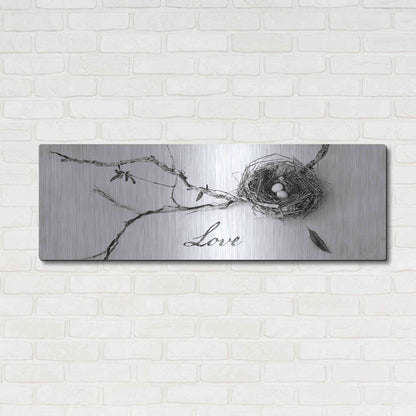 Luxe Metal Art 'Nest and Branch Love' by Debra Van Swearingen, Metal Wall Art,48x16