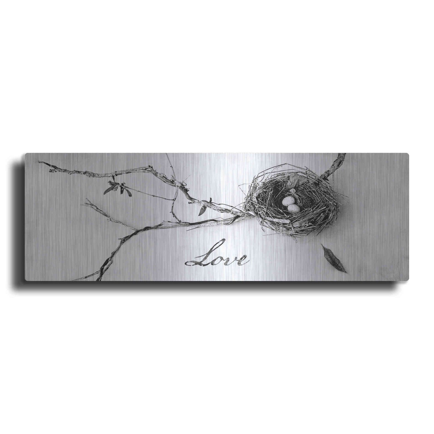 Luxe Metal Art 'Nest and Branch Love' by Debra Van Swearingen, Metal Wall Art