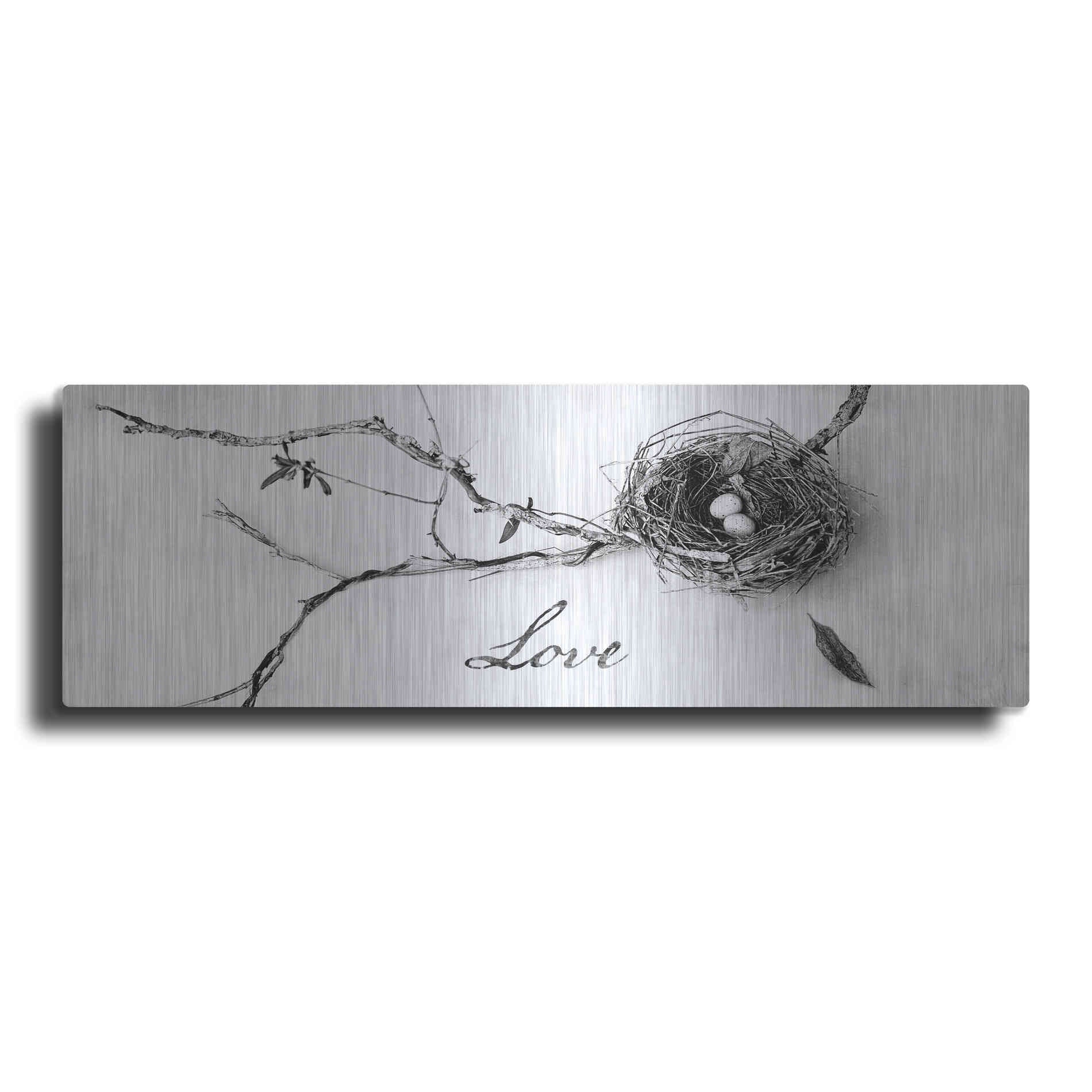Luxe Metal Art 'Nest and Branch Love' by Debra Van Swearingen, Metal Wall Art