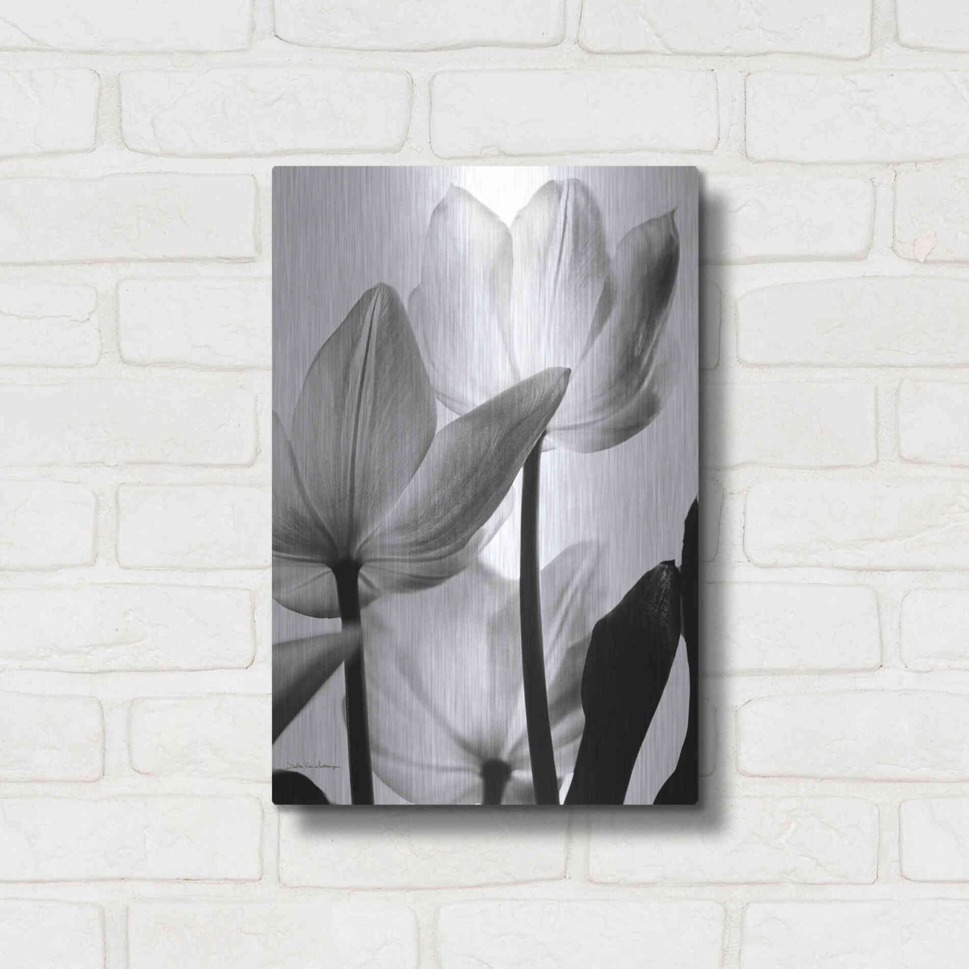 Luxe Metal Art 'Translucent Tulips III' by Debra Van Swearingen, Metal Wall Art,12x16