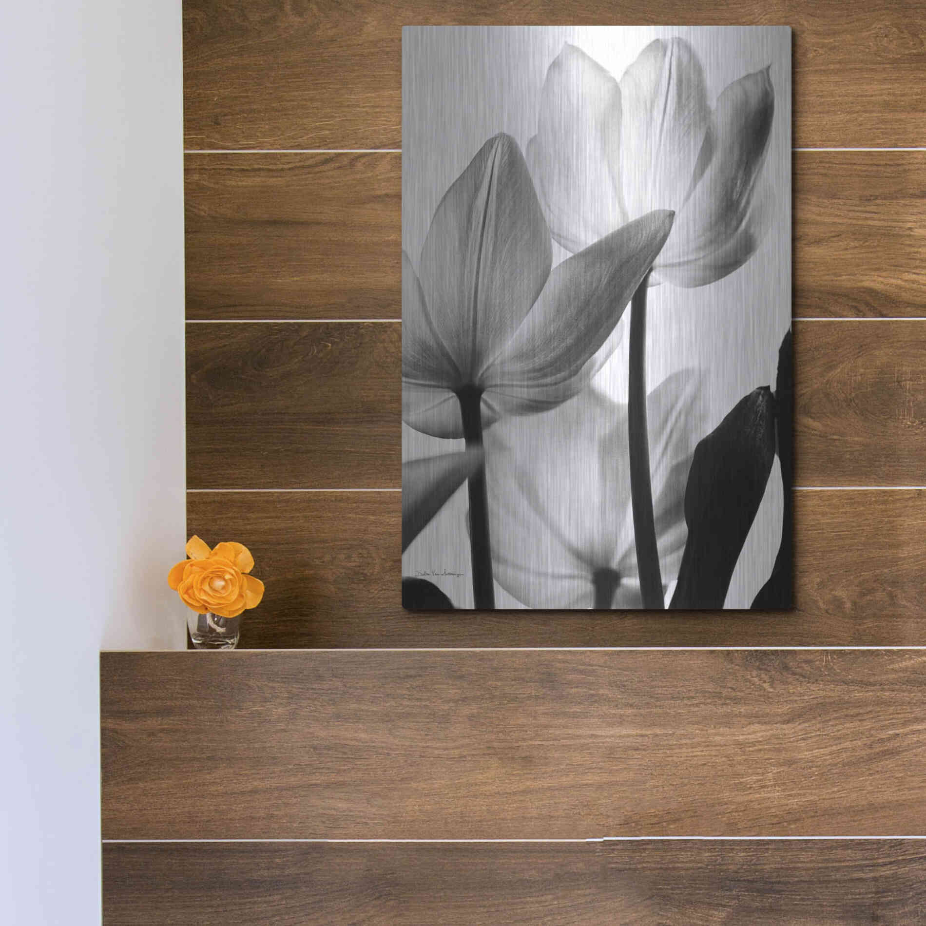 Luxe Metal Art 'Translucent Tulips III' by Debra Van Swearingen, Metal Wall Art,12x16
