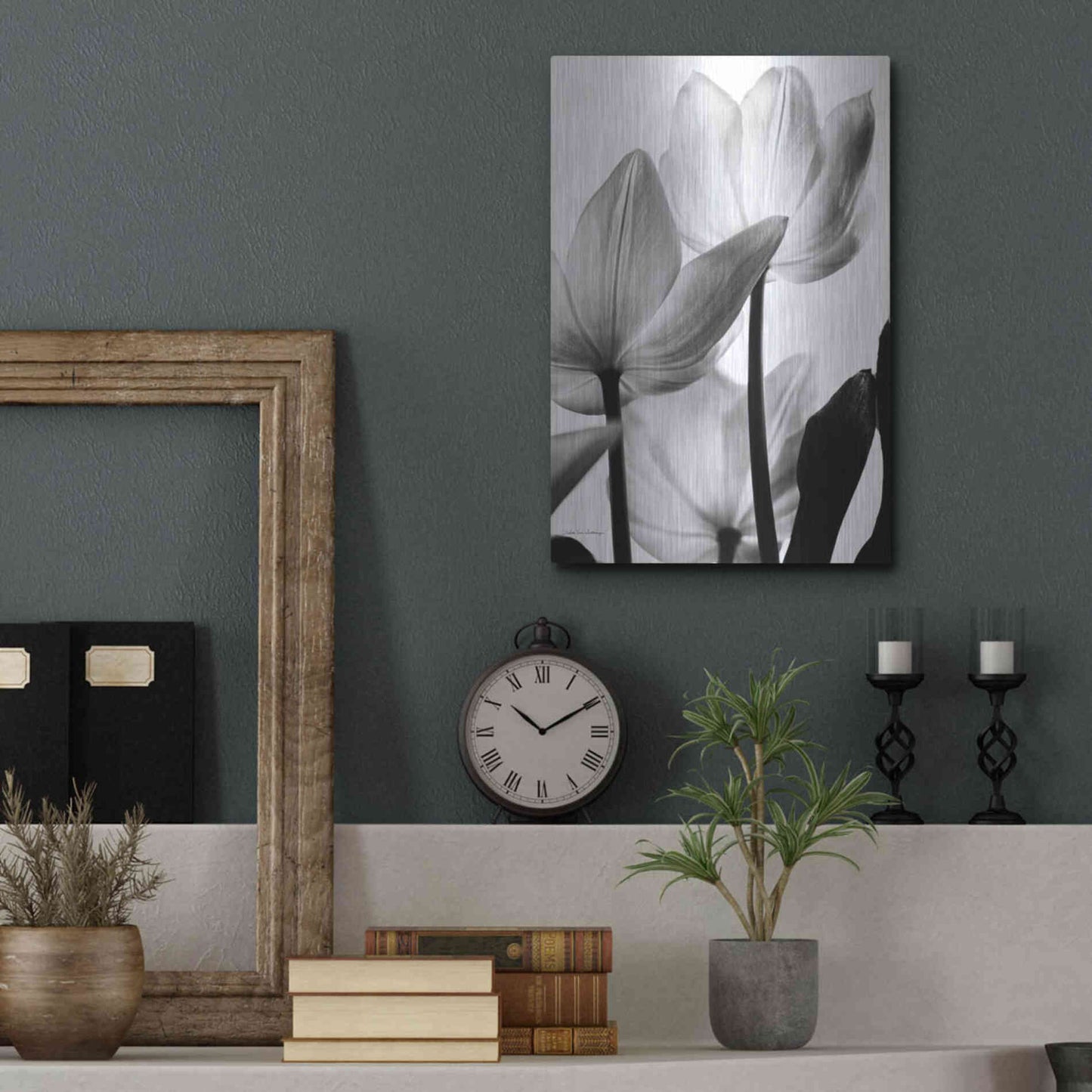 Luxe Metal Art 'Translucent Tulips III' by Debra Van Swearingen, Metal Wall Art,12x16