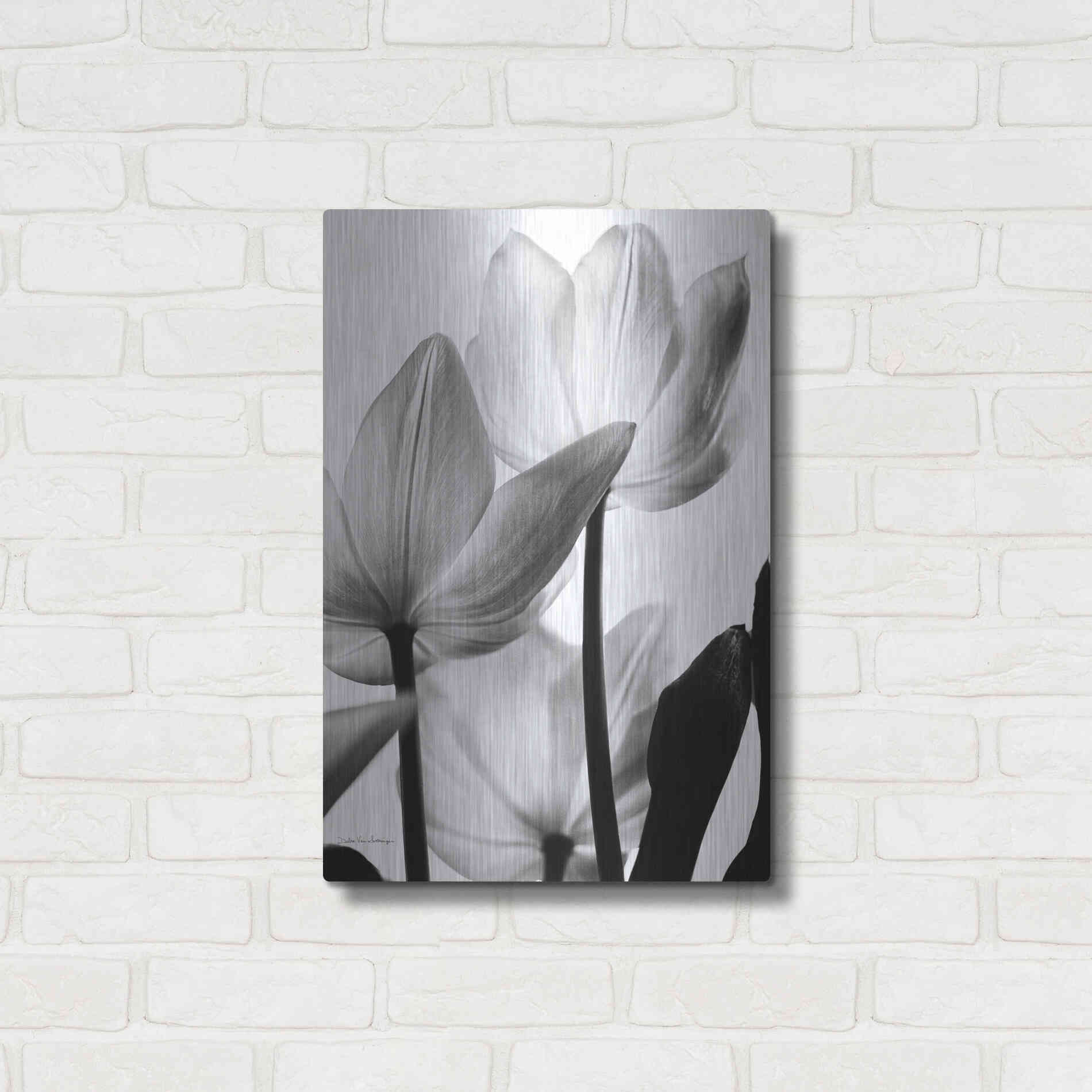 Luxe Metal Art 'Translucent Tulips III' by Debra Van Swearingen, Metal Wall Art,16x24
