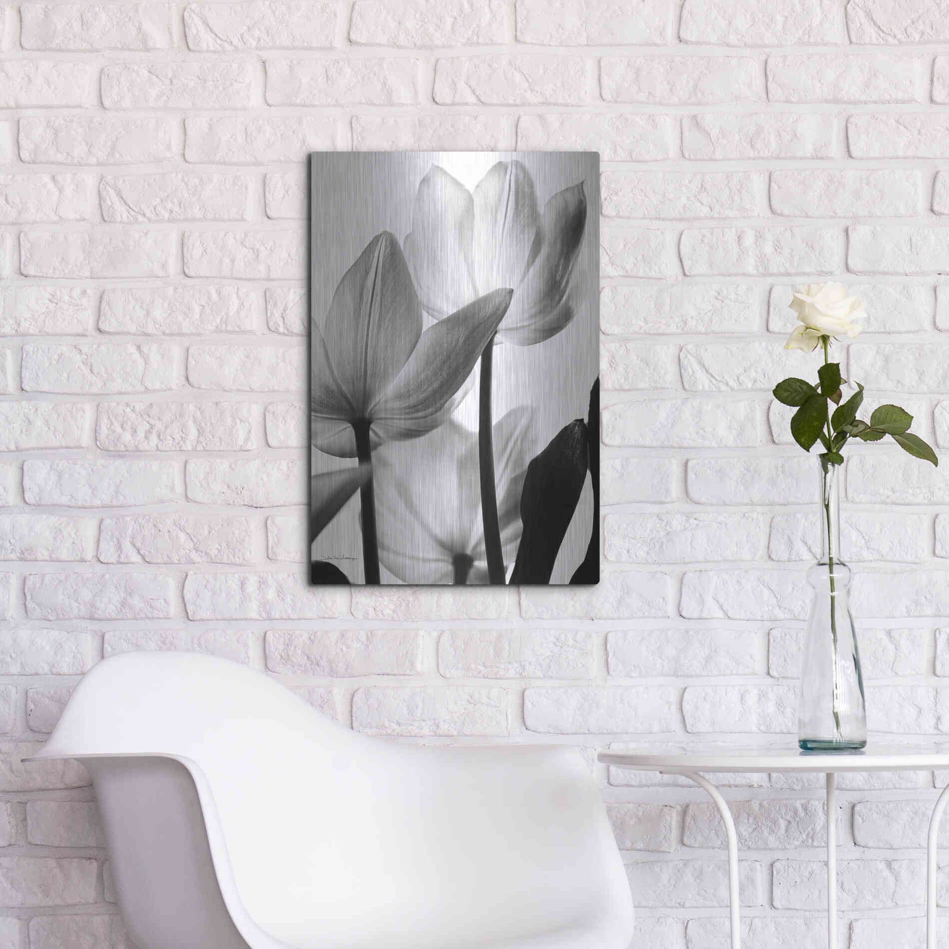 Luxe Metal Art 'Translucent Tulips III' by Debra Van Swearingen, Metal Wall Art,16x24