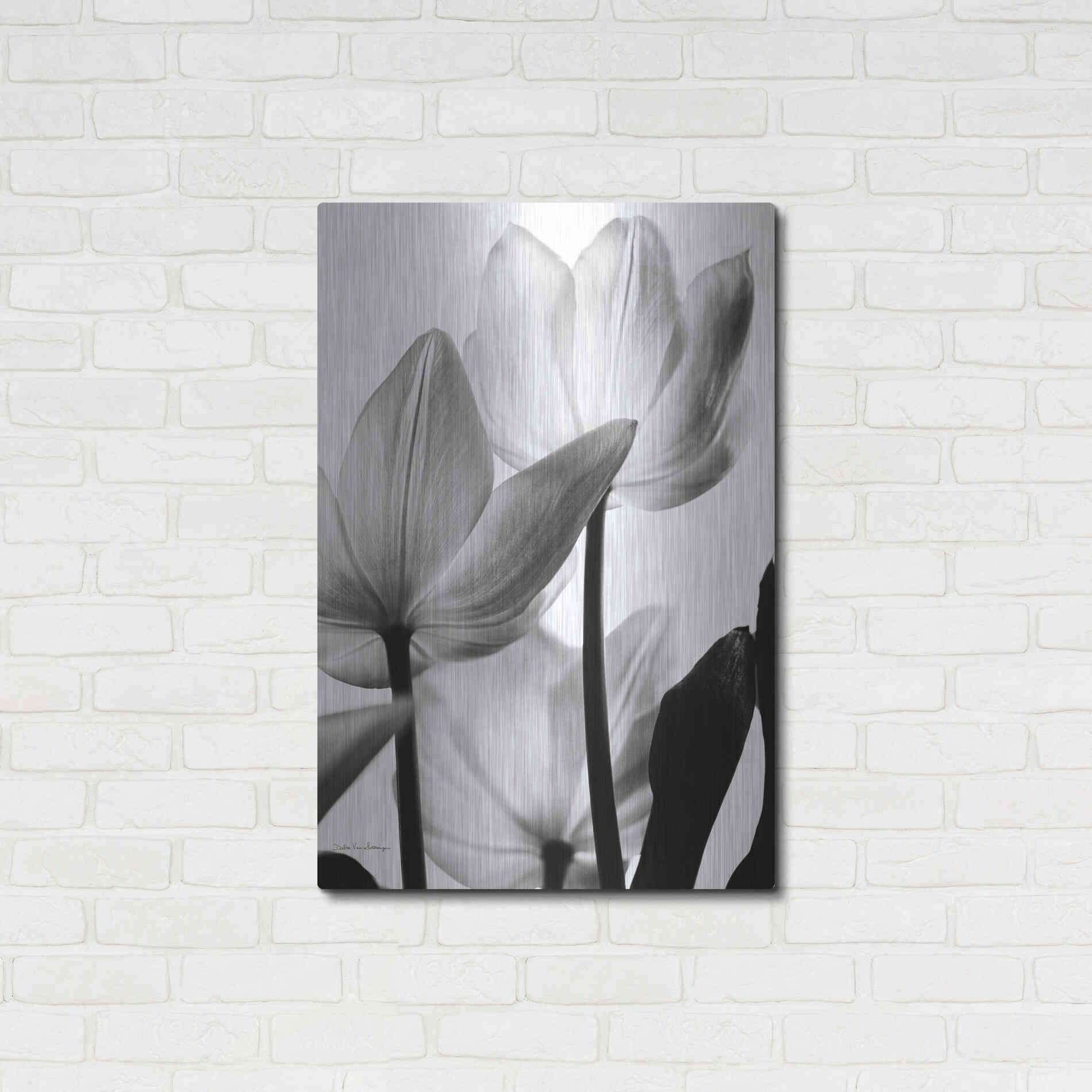 Luxe Metal Art 'Translucent Tulips III' by Debra Van Swearingen, Metal Wall Art,24x36