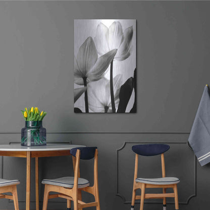 Luxe Metal Art 'Translucent Tulips III' by Debra Van Swearingen, Metal Wall Art,24x36