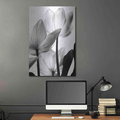 Luxe Metal Art 'Translucent Tulips III' by Debra Van Swearingen, Metal Wall Art,24x36