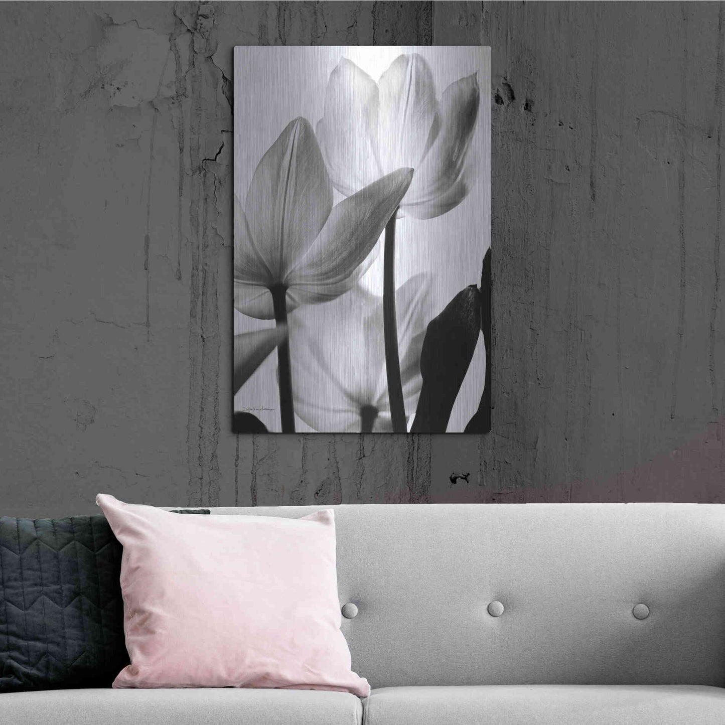 Luxe Metal Art 'Translucent Tulips III' by Debra Van Swearingen, Metal Wall Art,24x36