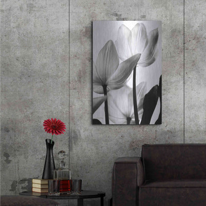 Luxe Metal Art 'Translucent Tulips III' by Debra Van Swearingen, Metal Wall Art,24x36