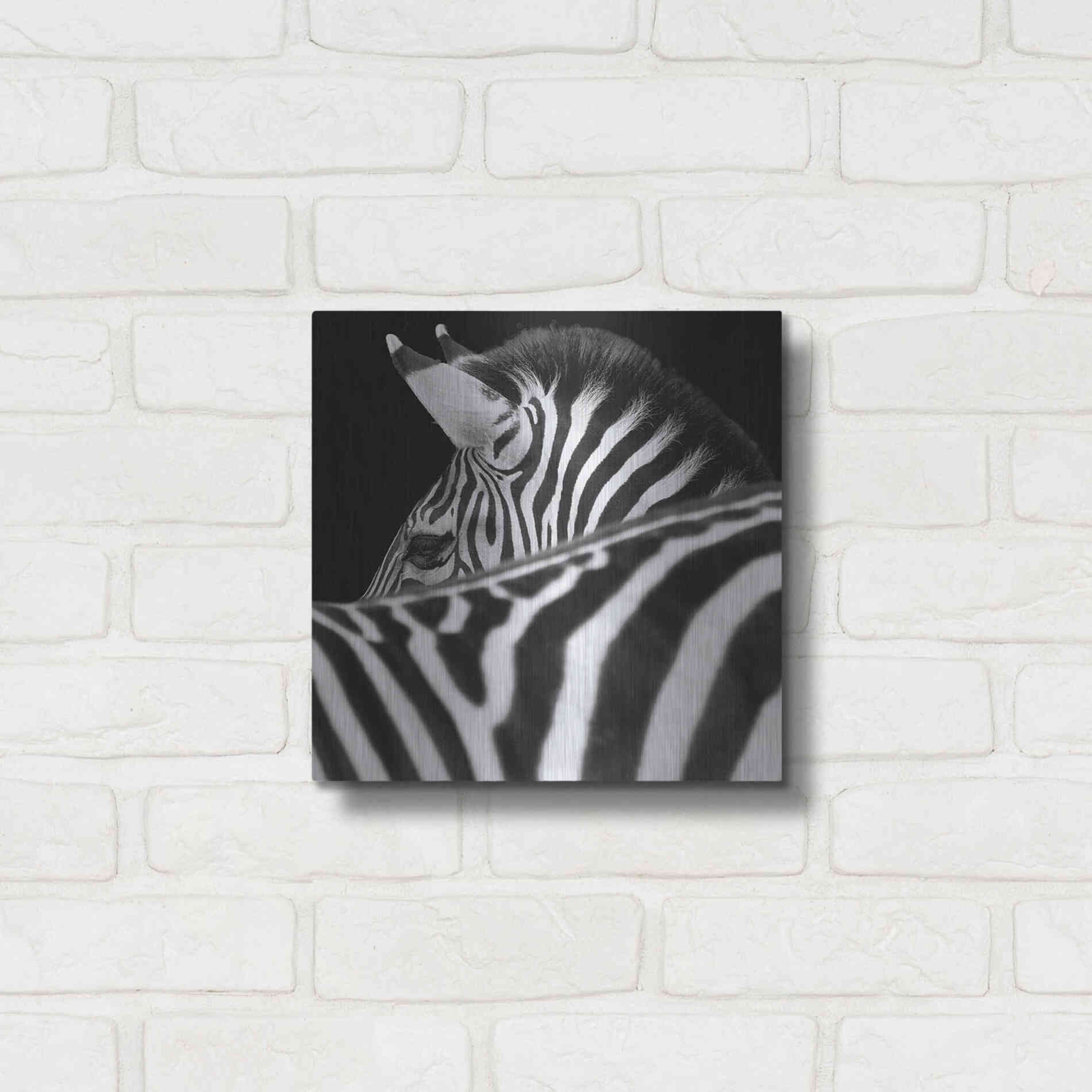 Luxe Metal Art 'Zebra III' by Debra Van Swearingen, Metal Wall Art,12x12