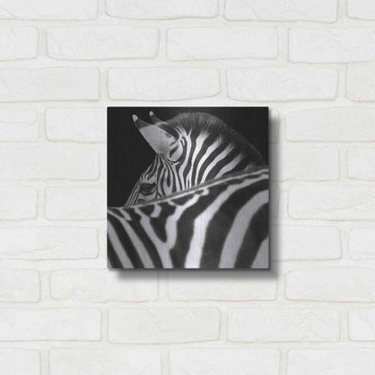 Luxe Metal Art 'Zebra III' by Debra Van Swearingen, Metal Wall Art,12x12
