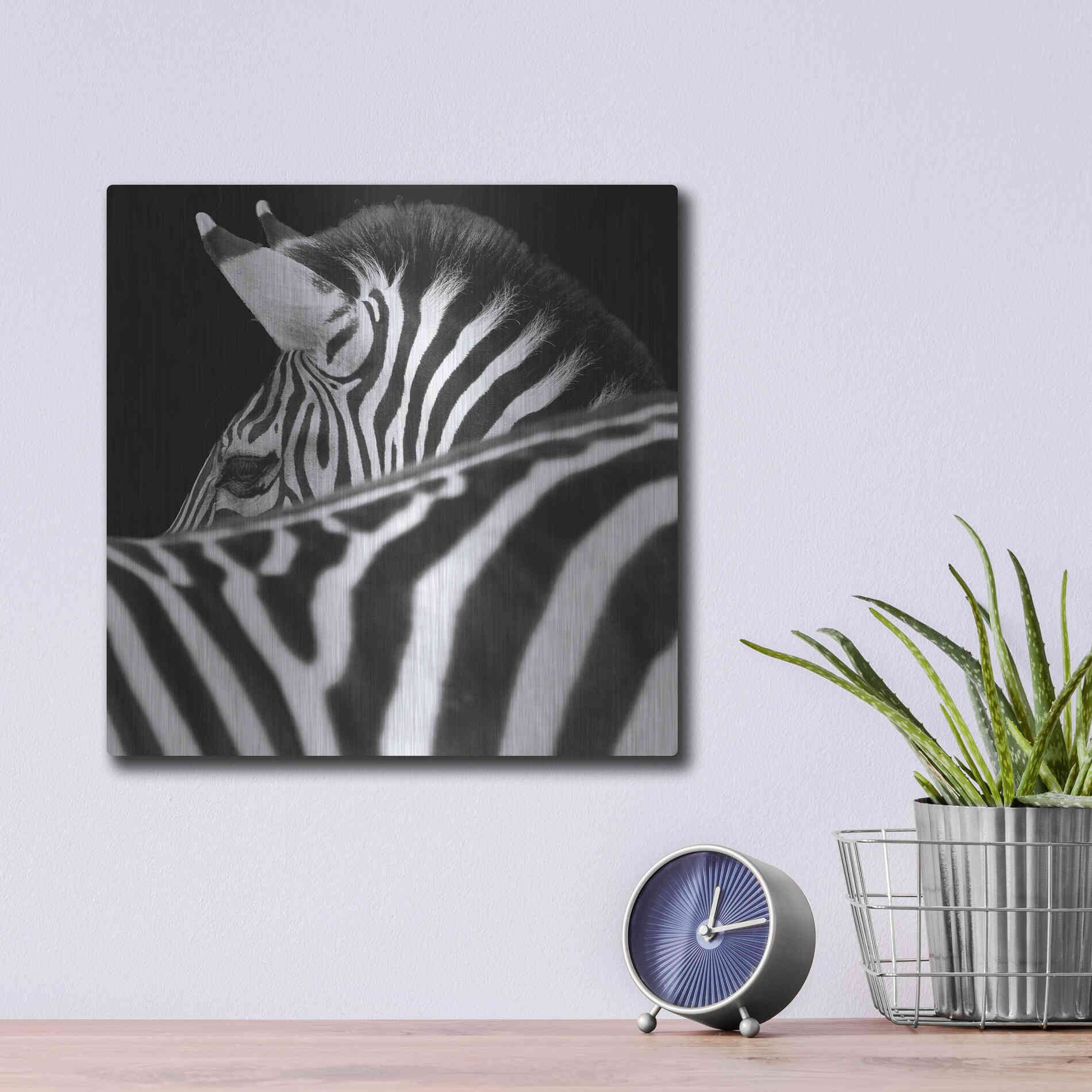 Luxe Metal Art 'Zebra III' by Debra Van Swearingen, Metal Wall Art,12x12