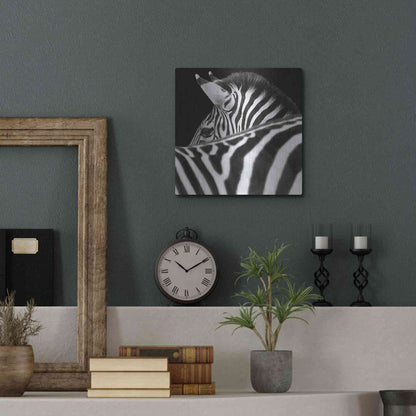 Luxe Metal Art 'Zebra III' by Debra Van Swearingen, Metal Wall Art,12x12