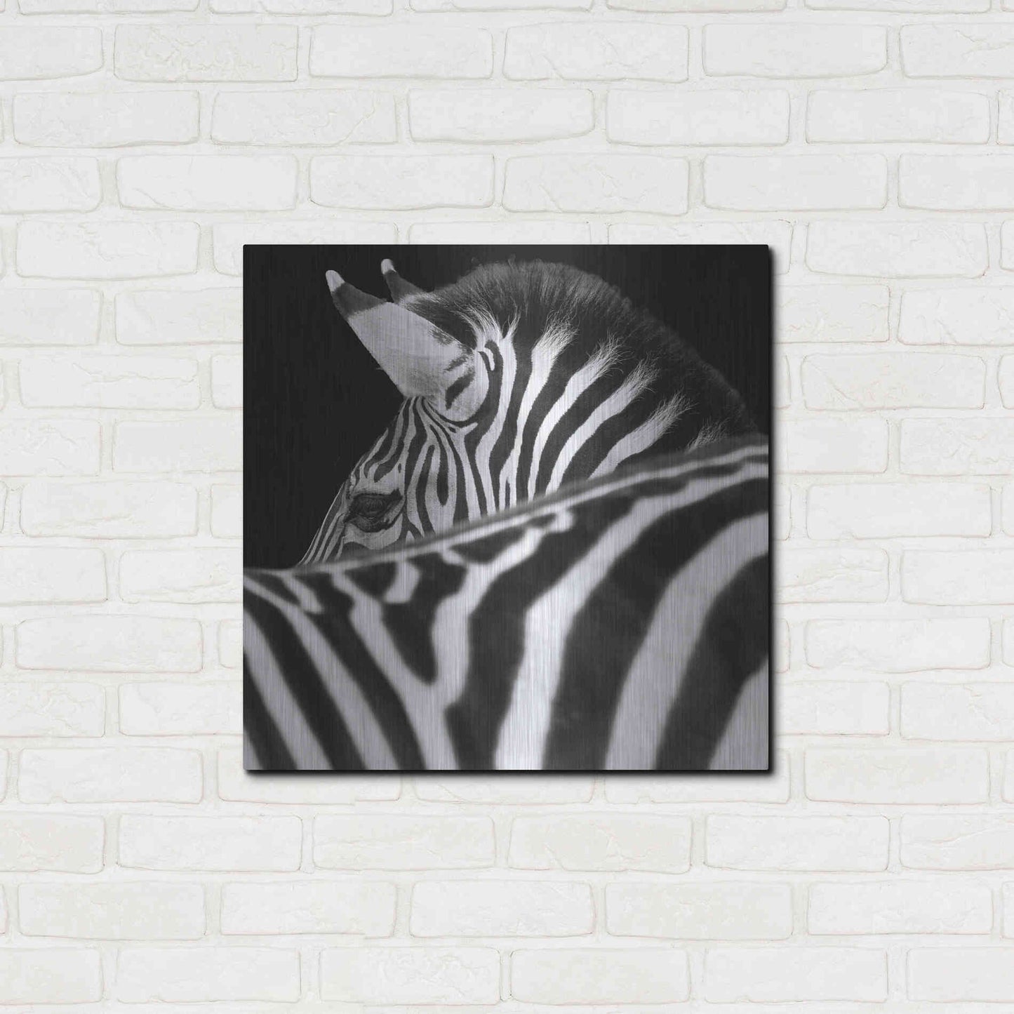 Luxe Metal Art 'Zebra III' by Debra Van Swearingen, Metal Wall Art,24x24