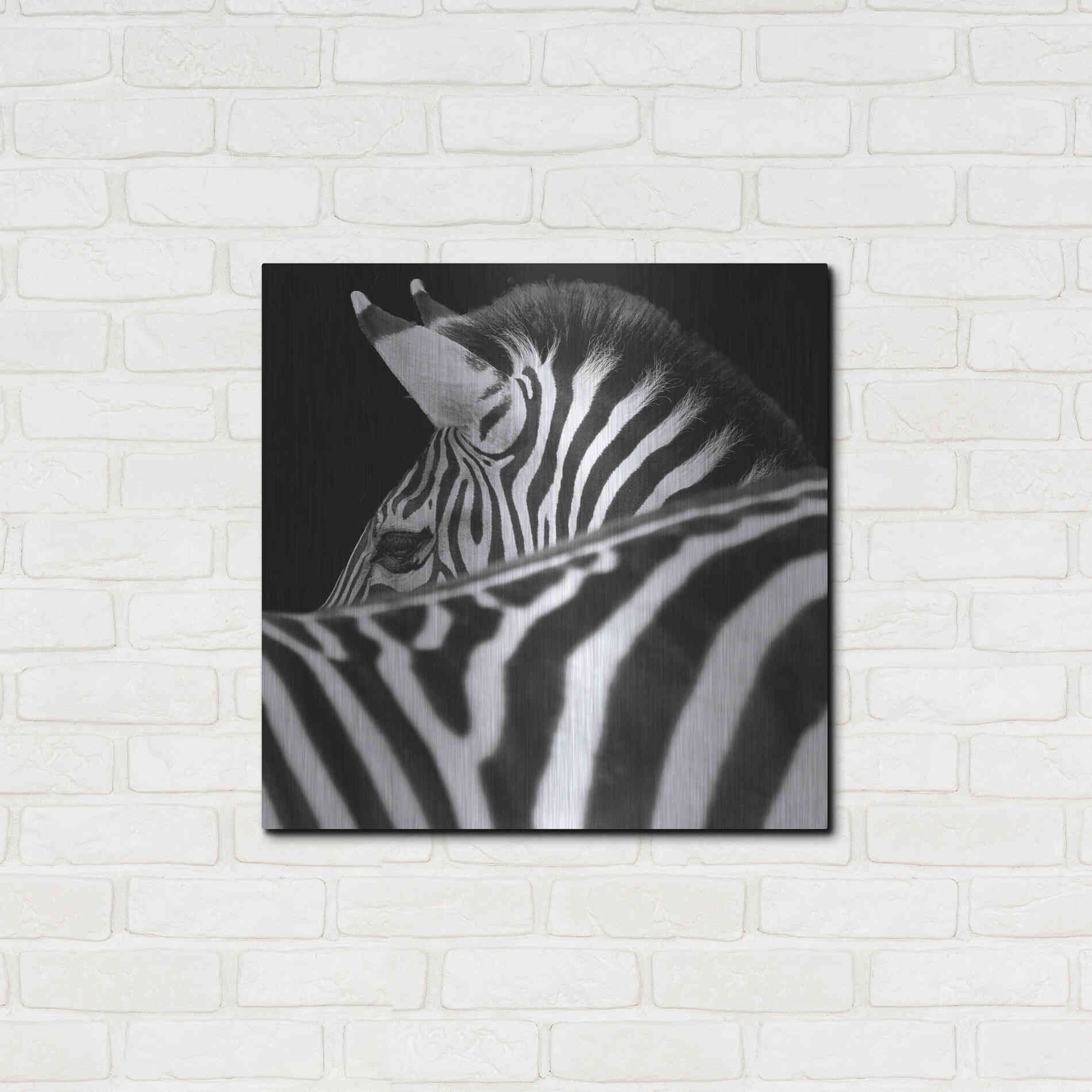 Luxe Metal Art 'Zebra III' by Debra Van Swearingen, Metal Wall Art,24x24