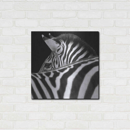 Luxe Metal Art 'Zebra III' by Debra Van Swearingen, Metal Wall Art,24x24