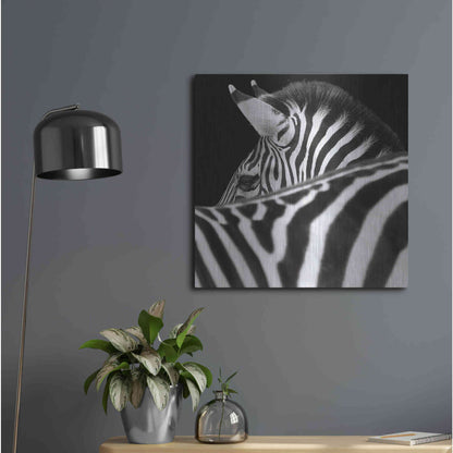 Luxe Metal Art 'Zebra III' by Debra Van Swearingen, Metal Wall Art,24x24