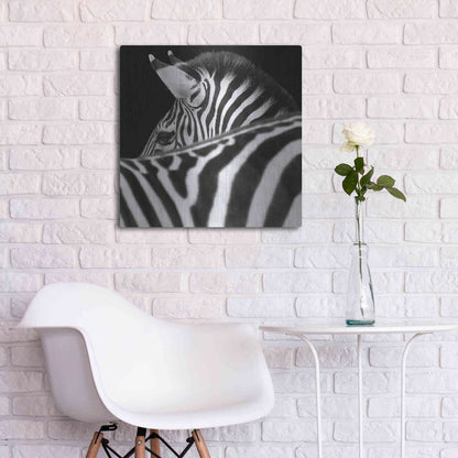 Luxe Metal Art 'Zebra III' by Debra Van Swearingen, Metal Wall Art,24x24
