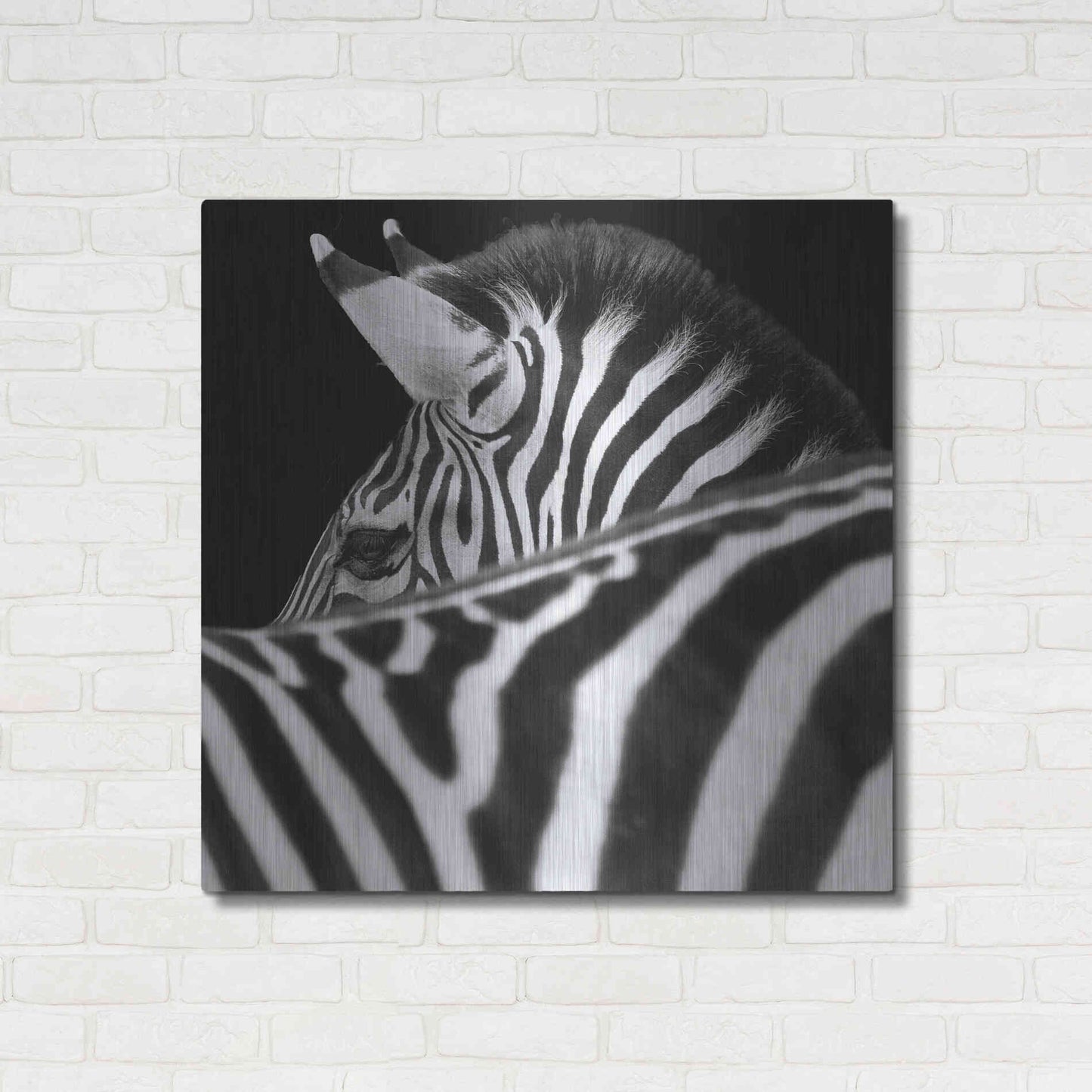 Luxe Metal Art 'Zebra III' by Debra Van Swearingen, Metal Wall Art,36x36