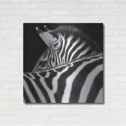 Luxe Metal Art 'Zebra III' by Debra Van Swearingen, Metal Wall Art,36x36
