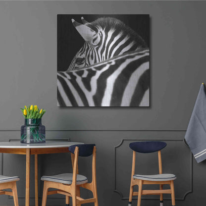 Luxe Metal Art 'Zebra III' by Debra Van Swearingen, Metal Wall Art,36x36