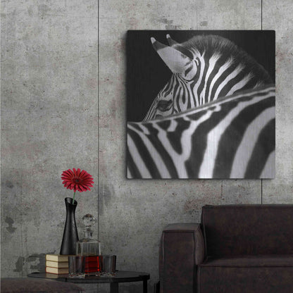 Luxe Metal Art 'Zebra III' by Debra Van Swearingen, Metal Wall Art,36x36
