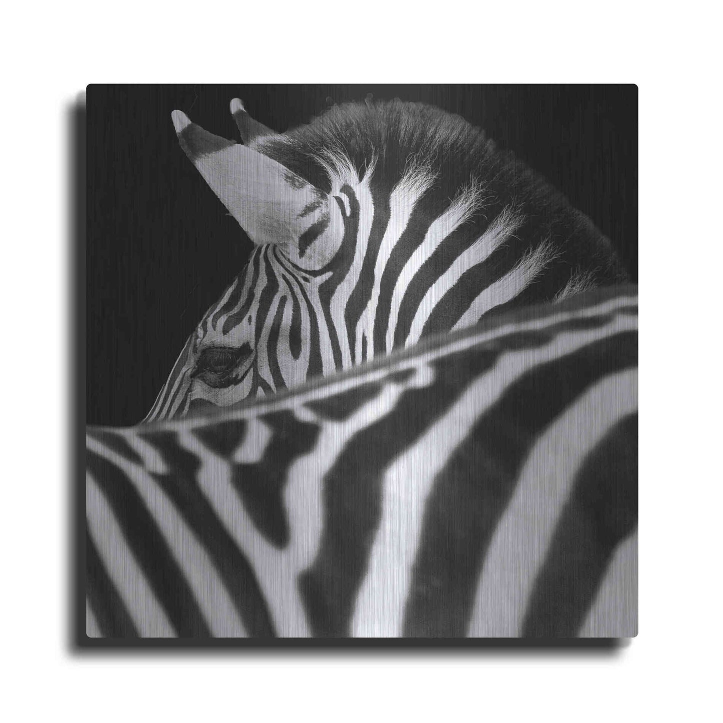Luxe Metal Art 'Zebra III' by Debra Van Swearingen, Metal Wall Art