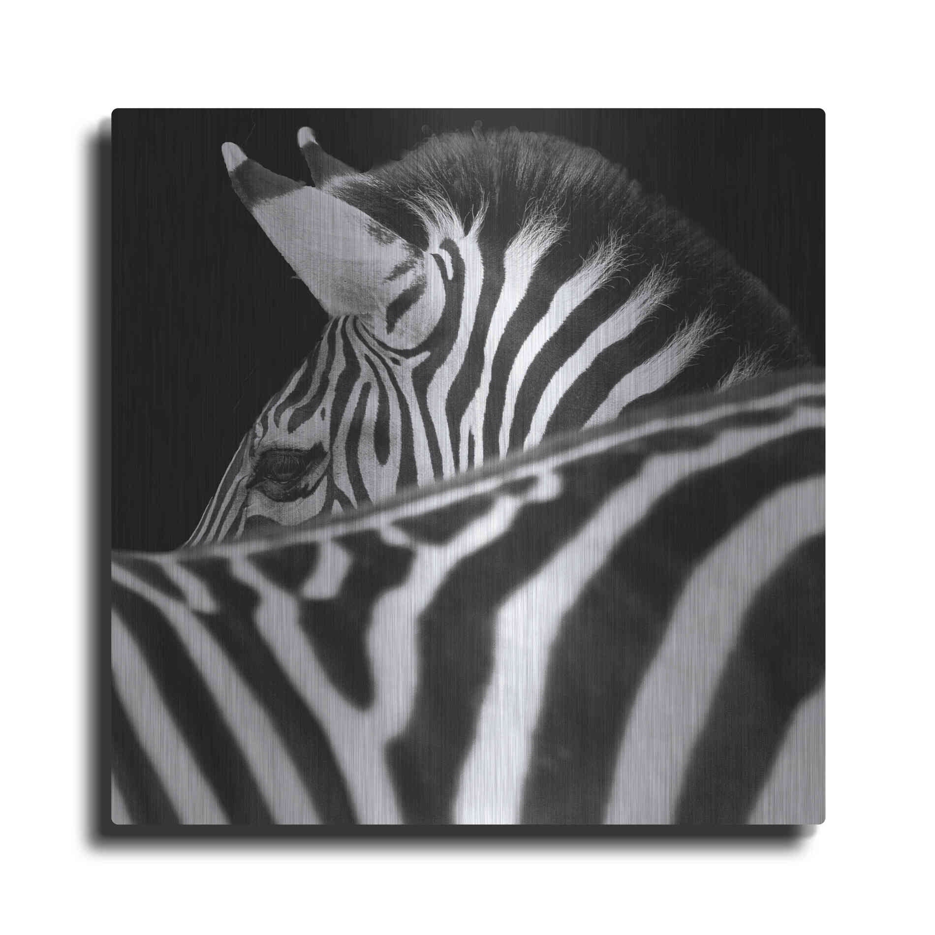 Luxe Metal Art 'Zebra III' by Debra Van Swearingen, Metal Wall Art