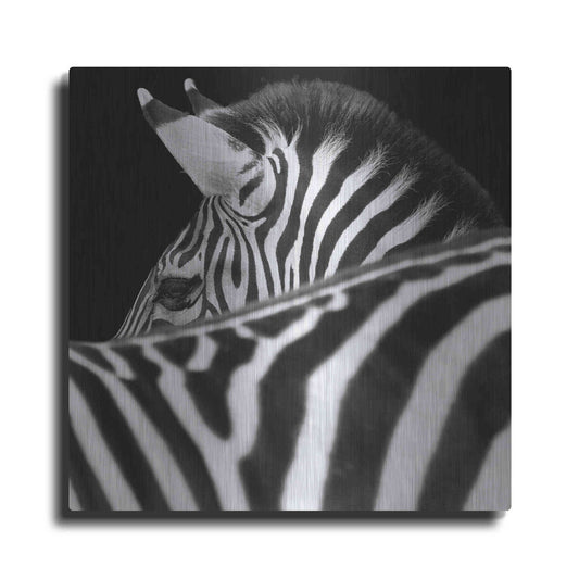 Luxe Metal Art 'Zebra III' by Debra Van Swearingen, Metal Wall Art