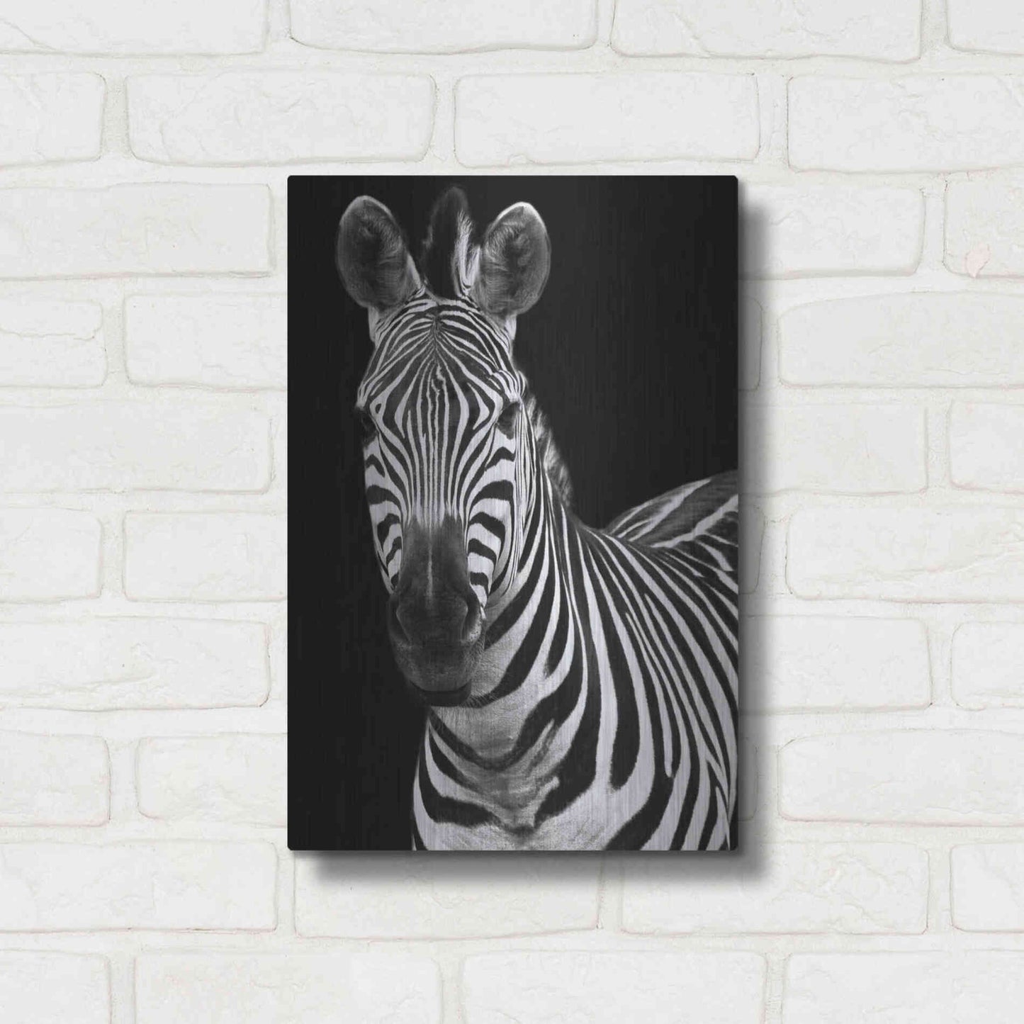 Luxe Metal Art 'Zebra II' by Debra Van Swearingen, Metal Wall Art,12x16