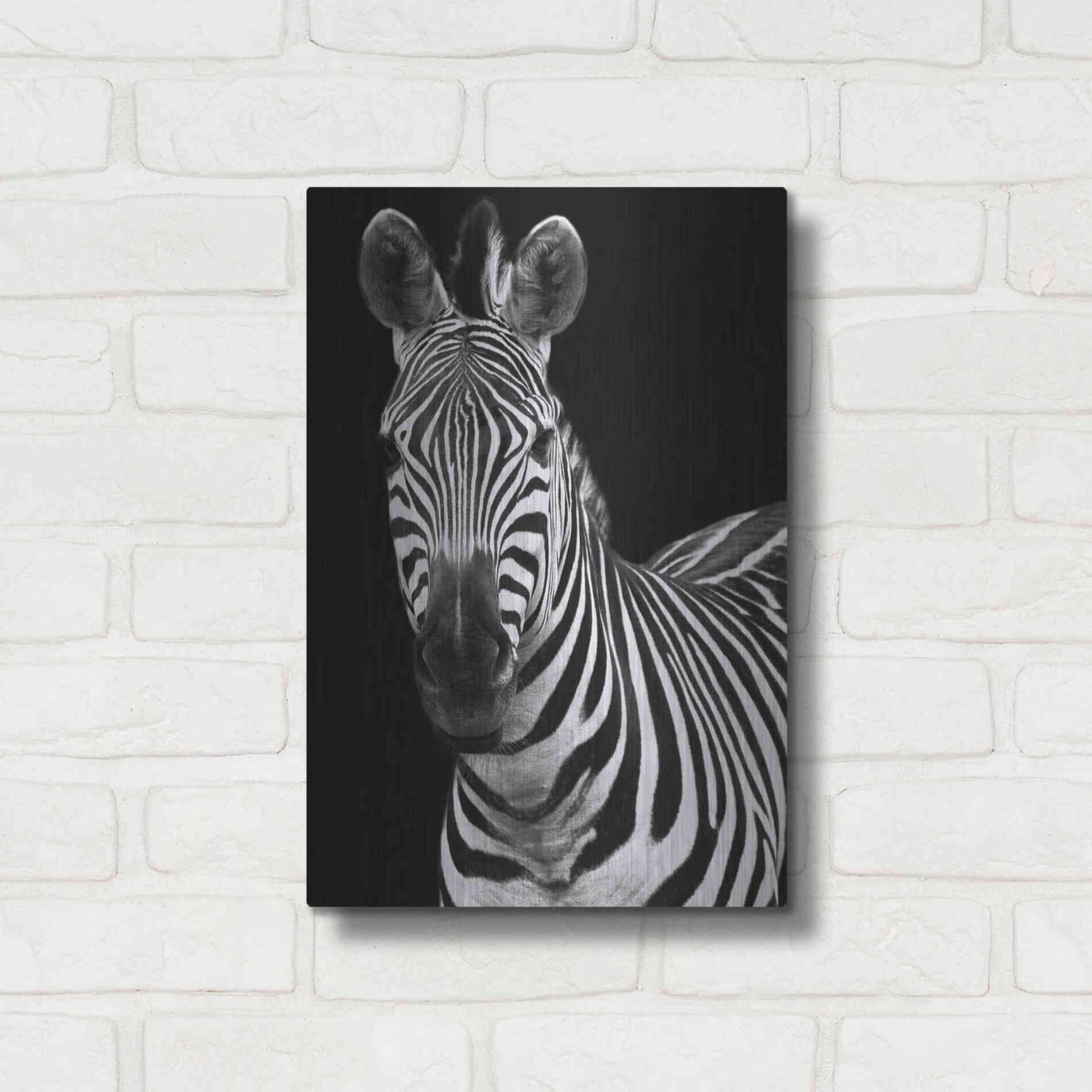 Luxe Metal Art 'Zebra II' by Debra Van Swearingen, Metal Wall Art,12x16