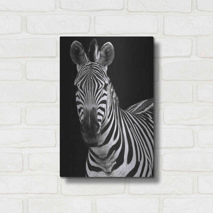 Luxe Metal Art 'Zebra II' by Debra Van Swearingen, Metal Wall Art,12x16