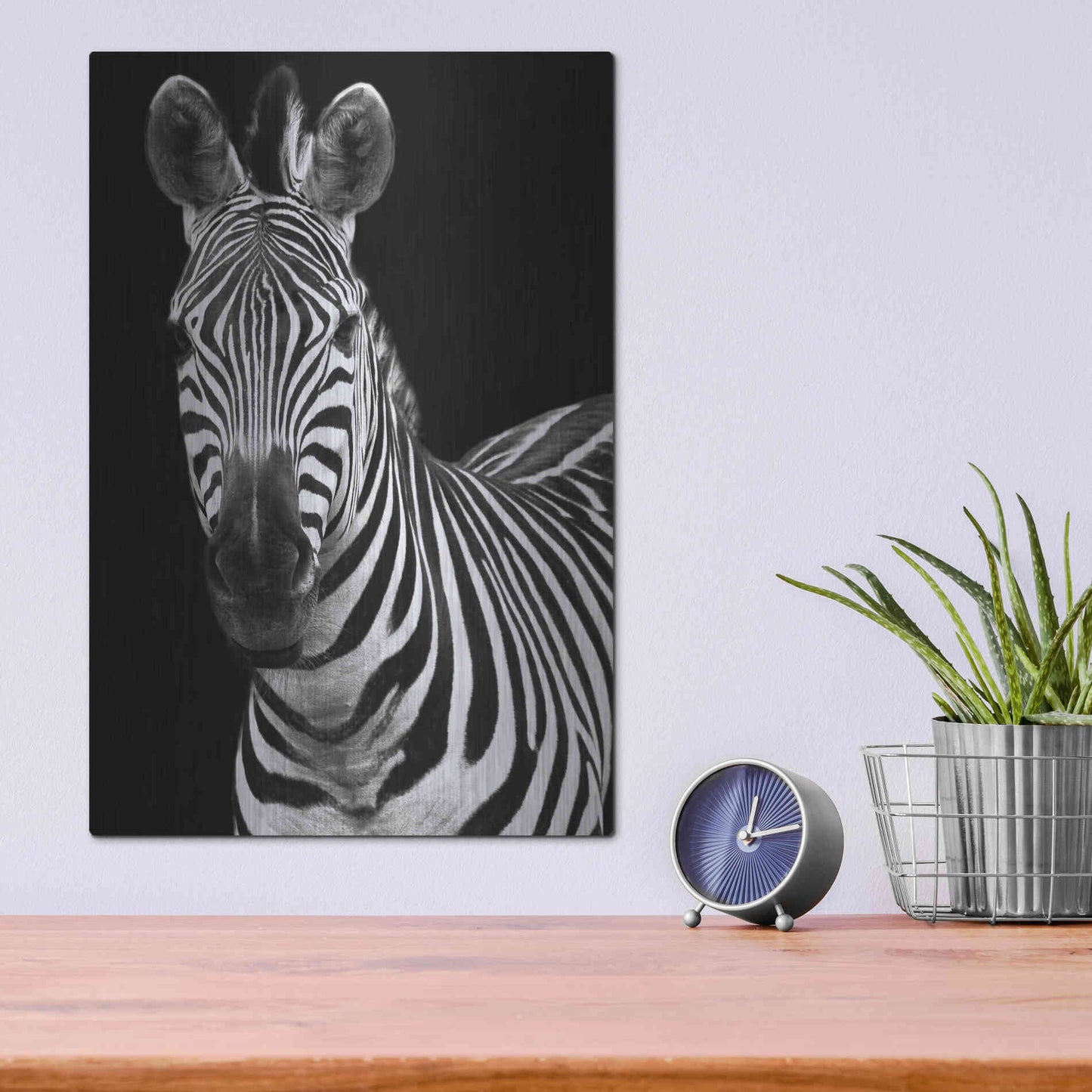 Luxe Metal Art 'Zebra II' by Debra Van Swearingen, Metal Wall Art,12x16