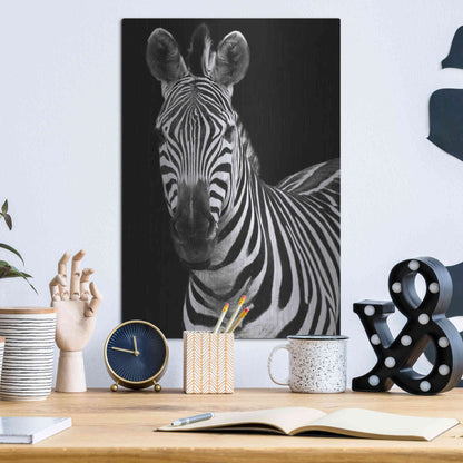 Luxe Metal Art 'Zebra II' by Debra Van Swearingen, Metal Wall Art,12x16