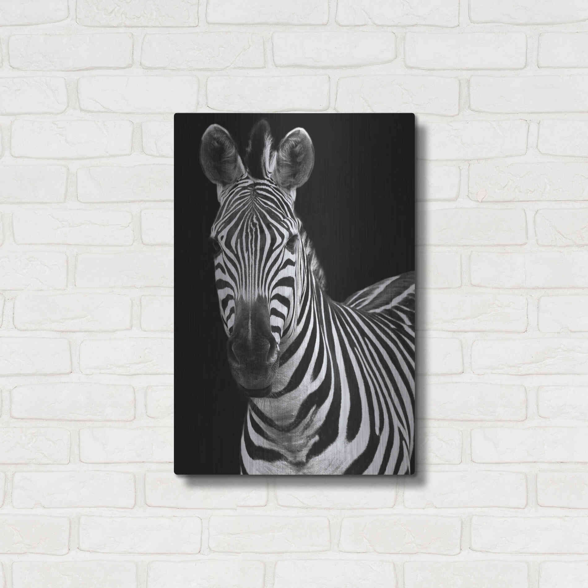 Luxe Metal Art 'Zebra II' by Debra Van Swearingen, Metal Wall Art,16x24