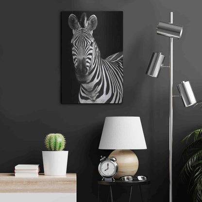 Luxe Metal Art 'Zebra II' by Debra Van Swearingen, Metal Wall Art,16x24