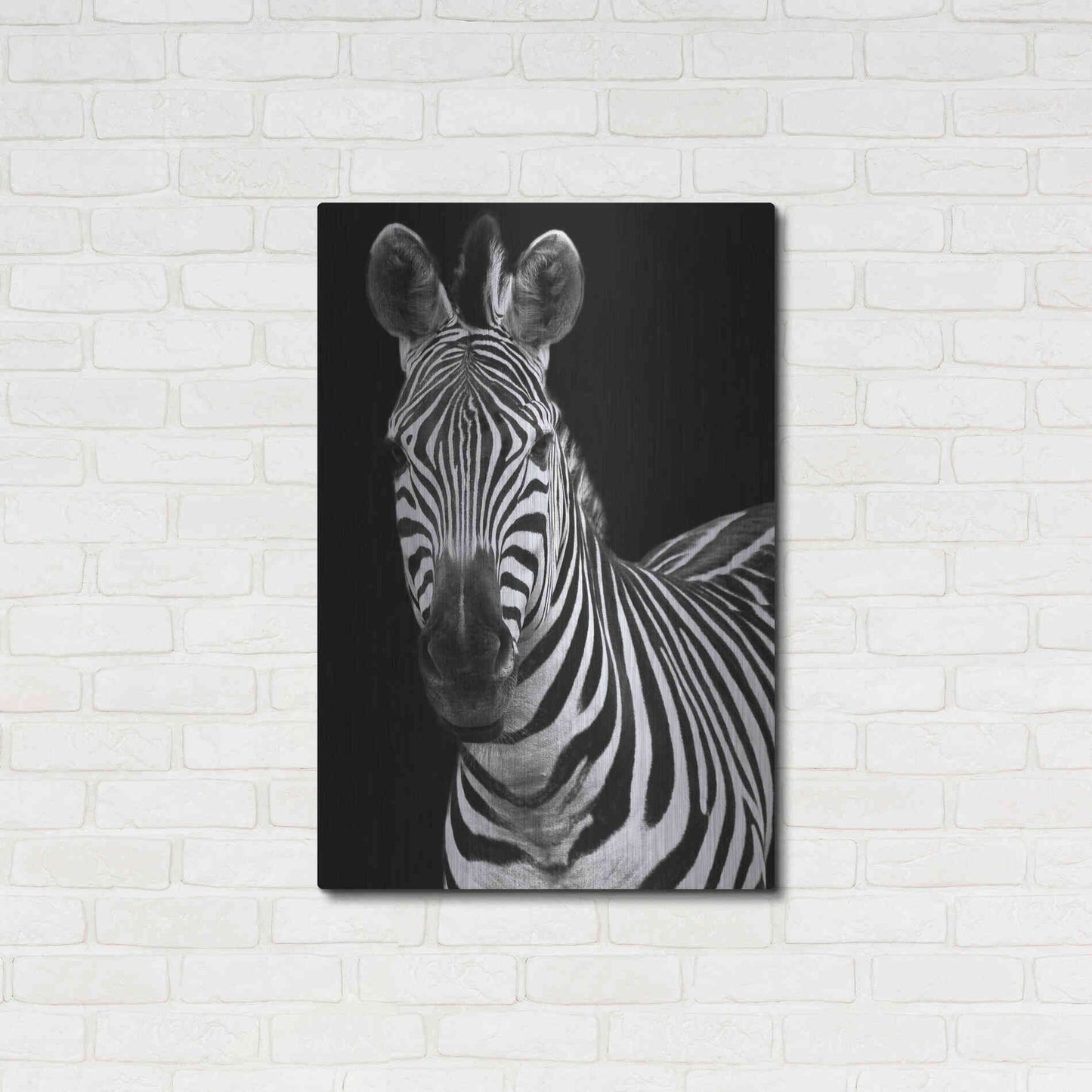 Luxe Metal Art 'Zebra II' by Debra Van Swearingen, Metal Wall Art,24x36
