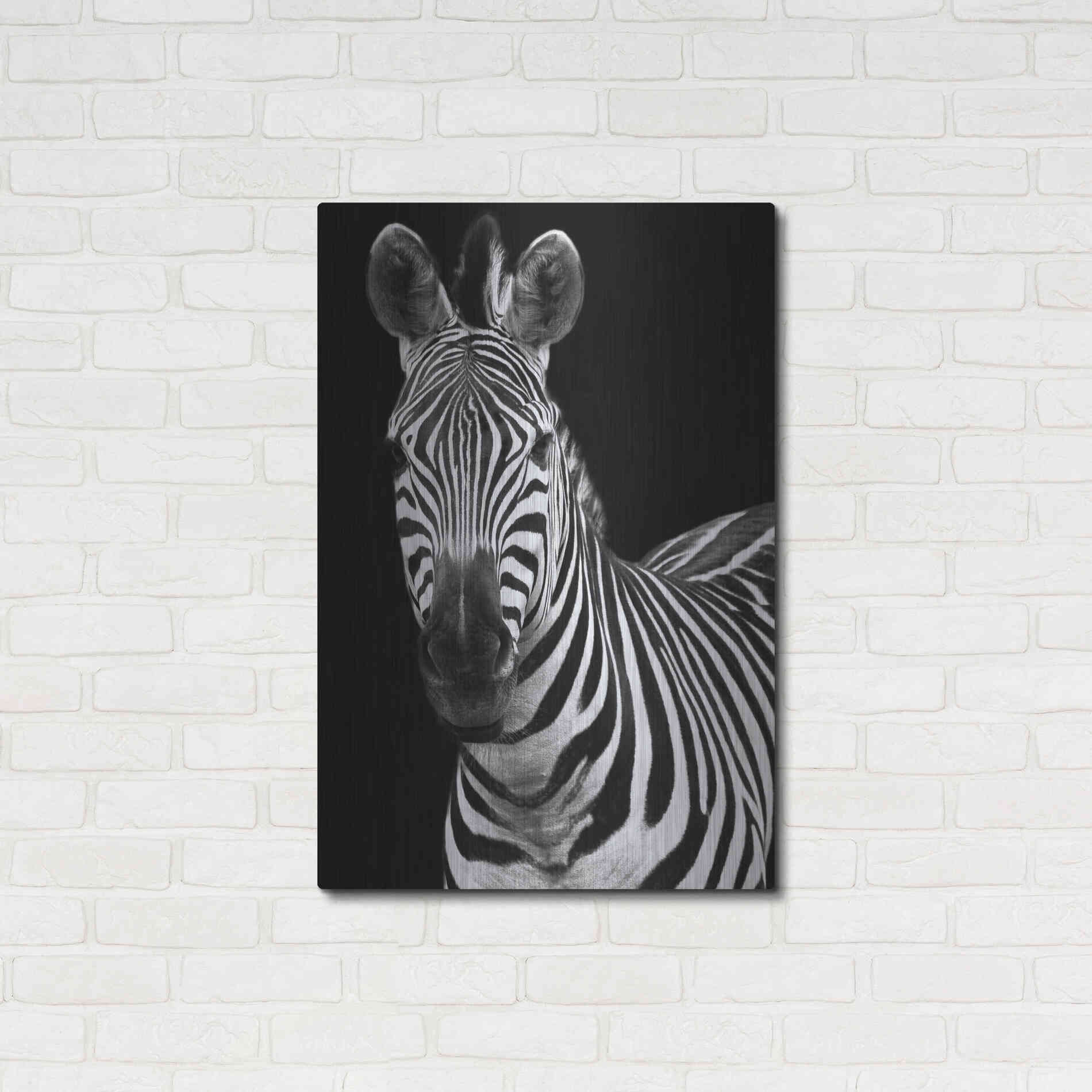 Luxe Metal Art 'Zebra II' by Debra Van Swearingen, Metal Wall Art,24x36