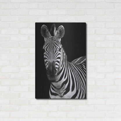 Luxe Metal Art 'Zebra II' by Debra Van Swearingen, Metal Wall Art,24x36