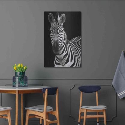 Luxe Metal Art 'Zebra II' by Debra Van Swearingen, Metal Wall Art,24x36