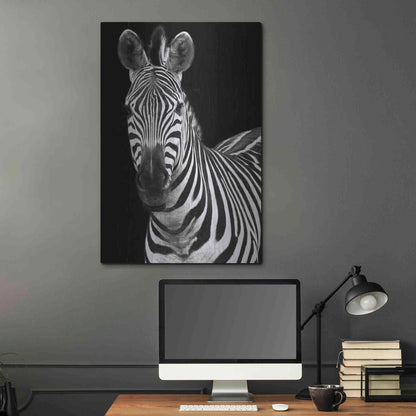 Luxe Metal Art 'Zebra II' by Debra Van Swearingen, Metal Wall Art,24x36